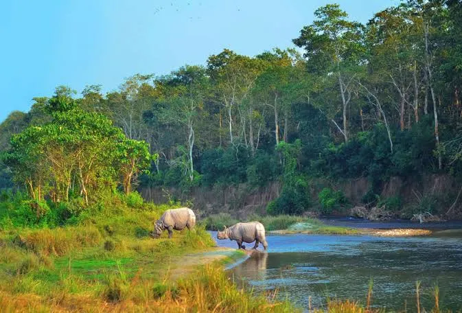 Bardiya Jungle Safari Tour – 4 Days / 3 Nights - Photo 3